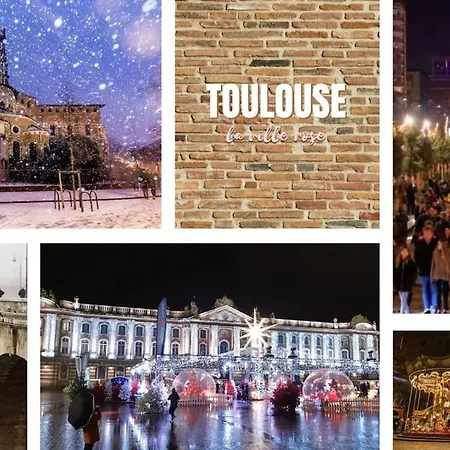 Charming City-center Flat With Terrace * Toulouse